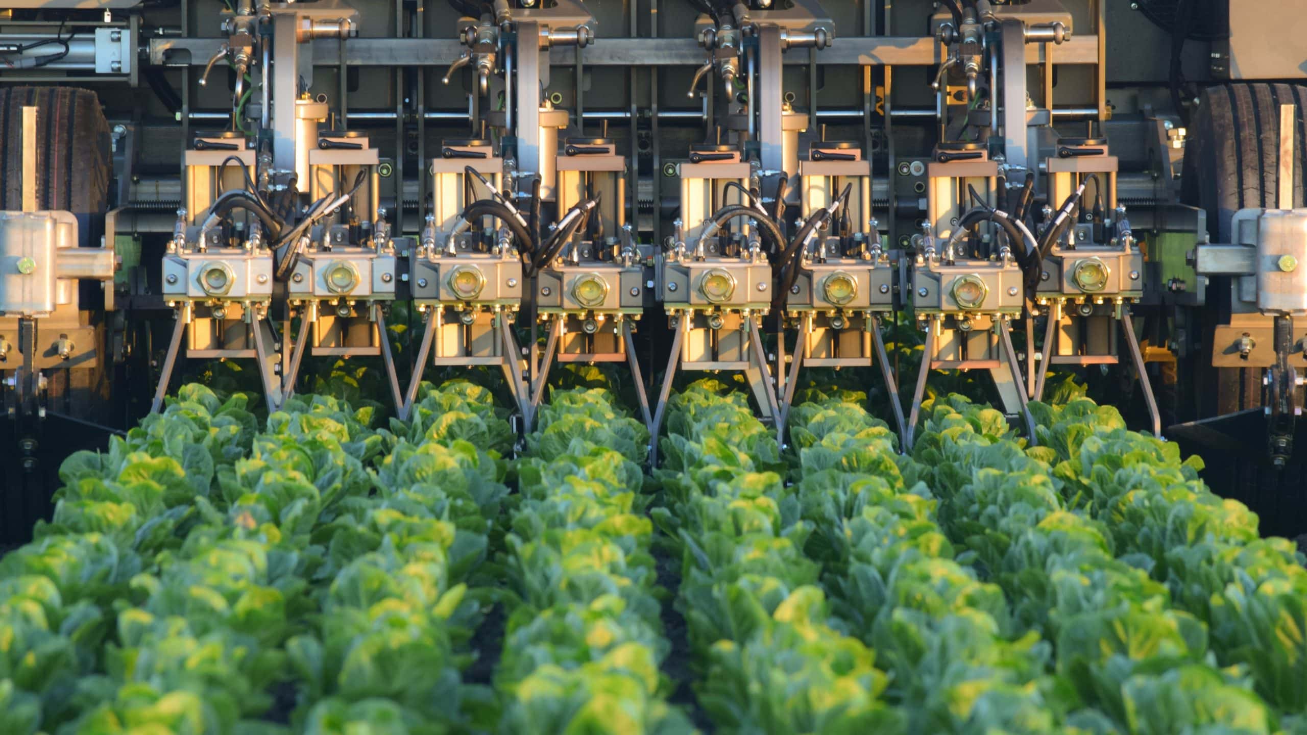 Smart Cultivator in field